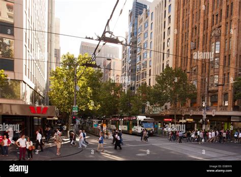 city of melbourne|city of melbourne utilities payment.